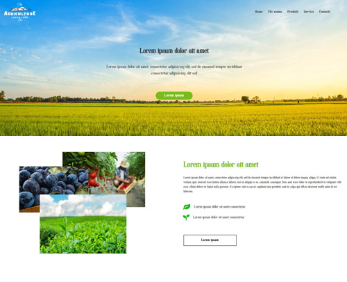 Sitishop template 304
